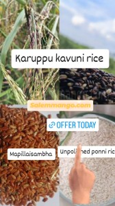 Free sample black rice online India 2025