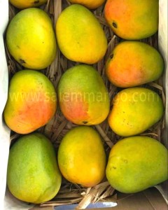 Mangoes to Kerala from Salem | Home delivery