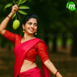 Why Mangoes not sweet this year 