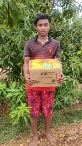 How Many Alphonso Mangoes in a Box? 