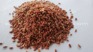 Magic rice for Woman's reproductive health
