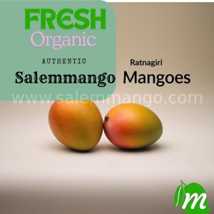 Mangoes from South India | Alphonso | Imampasand