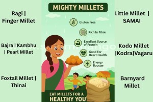 Millets online India | Barnyard| Foxtail | Ragi 