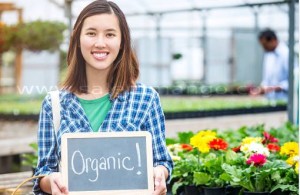 Millets vs Rice | Millet Best alternative to rice