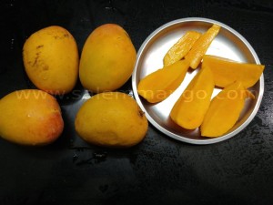 Most Expensive Mangoes in the World - Salemmango