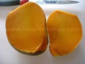 Organic Alphonso Mango online - Salemmango Farmers