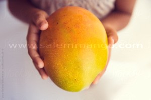 Premium Alphonso Mango Delivered Fresh from Salem