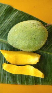 Premium large Imampasand mangoes Online 