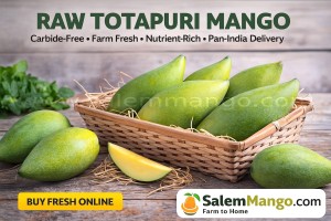 Totapuri Mango Online | Mumbai | Delhi | Raipur 