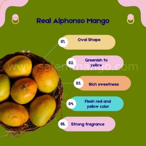 Real Alphonso vs Fake Alphonso mangoes in India