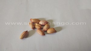 Where to buy premium organic peanut online
