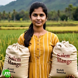 Salem attur kichili samba rice online | 25 kg bag