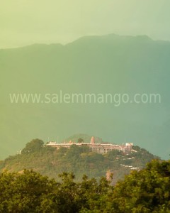 Thaipoosam Festival | Palani Murugan temple