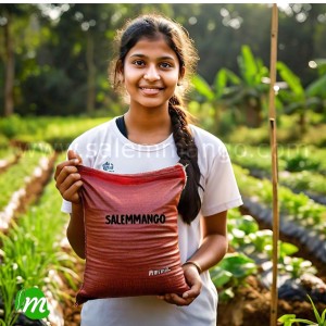 Top 7 Super Foods boosts Male Fertility  