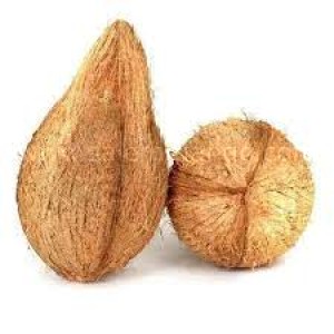 Buy fresh coconuts online | Bangalore|Lowest price