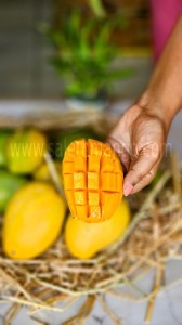 10 Reasons Mangoes Are Perfect for Indian Summers