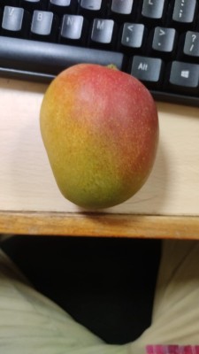 Miyazaki Mango