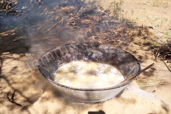 Palm Jaggery