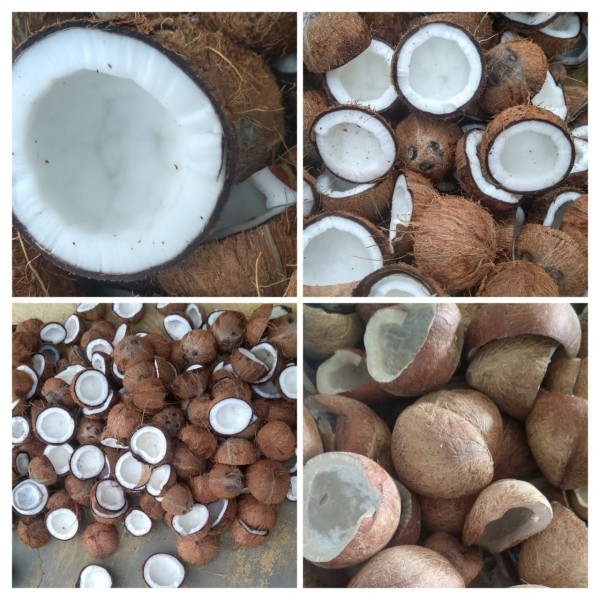 Pure Coconut Oil